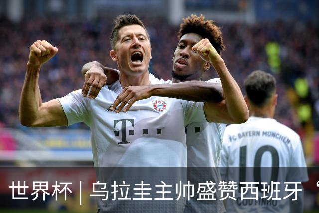 世界杯 | 乌拉圭主帅盛赞西班牙“精致足球”