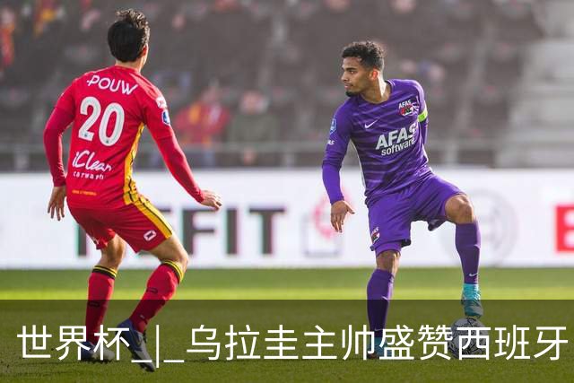 世界杯 | 乌拉圭主帅盛赞西班牙“精致足球”
