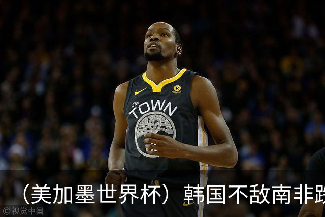 （美加墨世界杯）韩国不敌南非跌至小组第三 出线前景待定